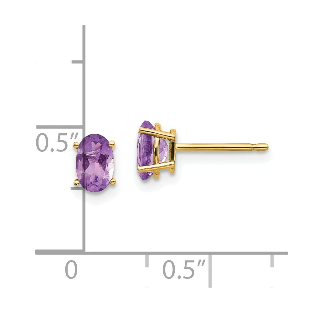 14K Yellow Gold 6x4 Oval February/Amethyst Post Earrings, 4/5-Carat Gemweight