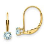 Load image into Gallery viewer, 14K Aquamarine Earrings - March
