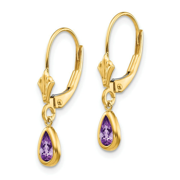 14K 6x4mm Amethyst/February Earrings