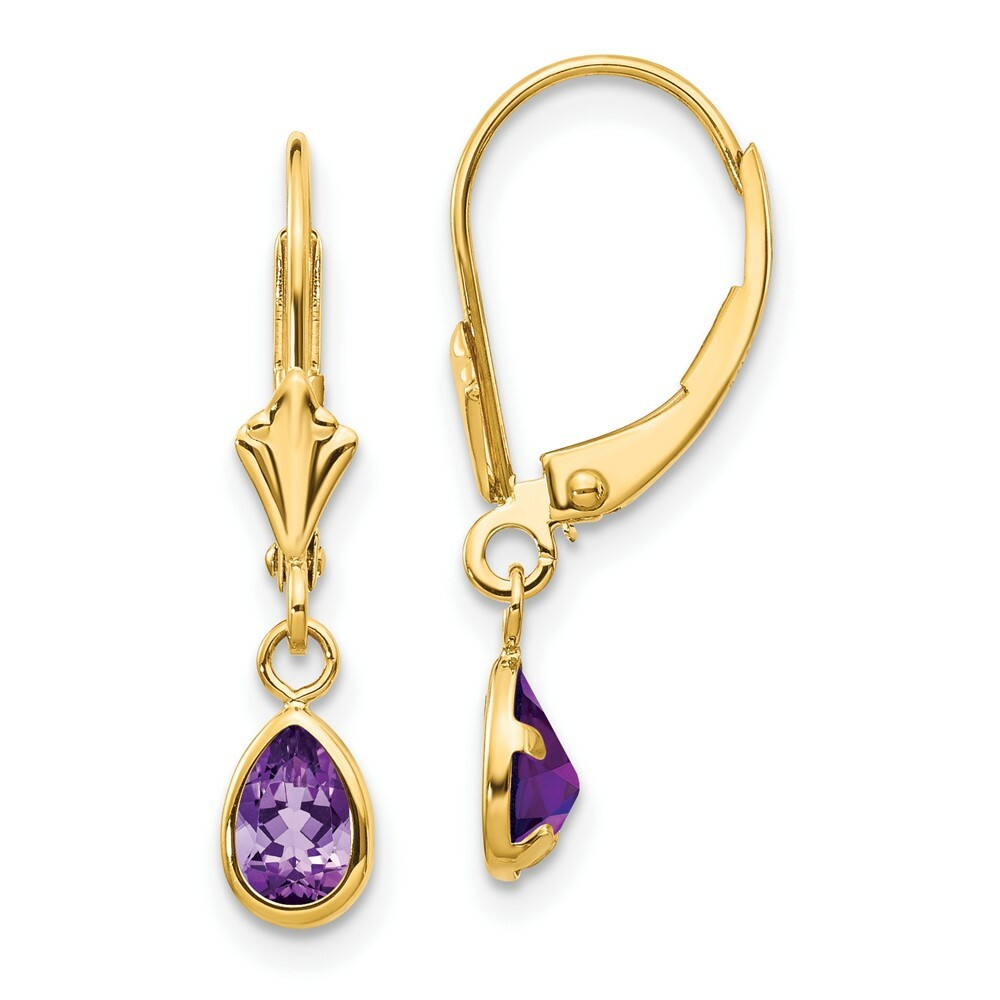 14K 6x4mm Amethyst/February Earrings