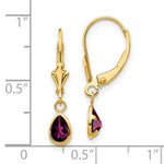 Load image into Gallery viewer, 14K 6x4mm Rhodolite Garnet/June Earrings
