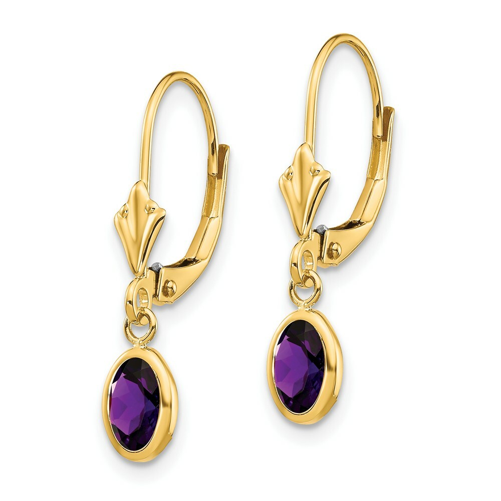 14K 6x4mm February/Amethyst Earrings