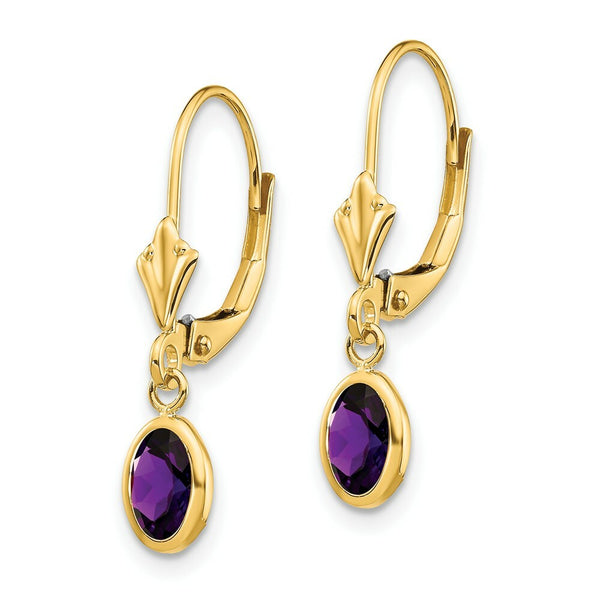 14K 6x4mm February/Amethyst Earrings