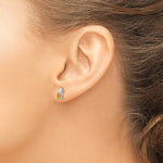 Load image into Gallery viewer, 14k White Gold Citrine Diamond Earring with Diamond Accent, 0.35-Carat Gemweight
