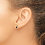 Load image into Gallery viewer, 14K Diamond &amp; Sapphire Earrings
