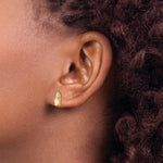 Load image into Gallery viewer, 14K Diamond &amp; Opal Earrings
