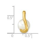 Load image into Gallery viewer, 14k Yellow Gold 8-9mm Button Freshwater Cultured Pearl Pendant
