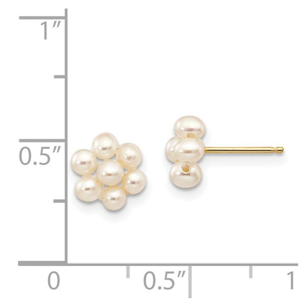 14K Yellow Gold Small Egg White Freshwater Cultured Pearl Flower Earrings