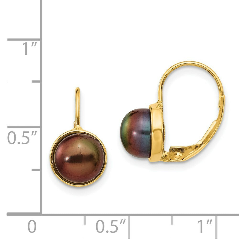 14K Yellow Gold 6-7mm Black Freshwater Cultured Button Pearl Leverback Earrings