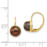 Load image into Gallery viewer, 14K Yellow Gold 6-7mm Black Freshwater Cultured Button Pearl Leverback Earrings
