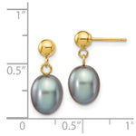 Load image into Gallery viewer, 14K Yellow Gold 7-8mm Grey Freshwater Cultured Pearl Dangle Earrings
