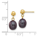 Load image into Gallery viewer, 14K 7-8mm Black Freshwater Cultured Pearl Dangle Earrings
