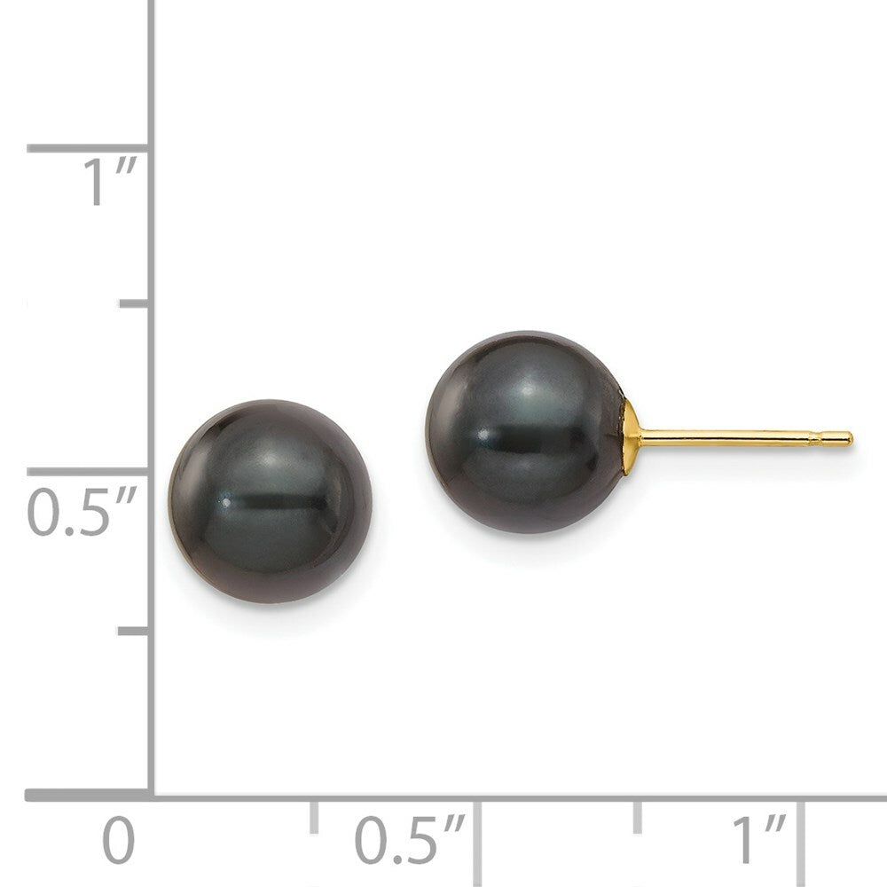 14K Yellow Gold 8-9mm Round Black Saltwater Pearl Stud Earrings