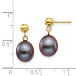 Load image into Gallery viewer, 14K 8-9mm Black Freshwater Cultured Pearl Dangle Earrings
