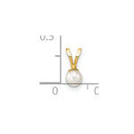 Load image into Gallery viewer, 14K Yellow Gold 3-4mm Round White Freshwater Cultured Pearl Pendant
