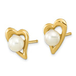 Load image into Gallery viewer, 14K Yellow Gold 3-4mm White Button Freshwater Cultured Pearl Post Earrings
