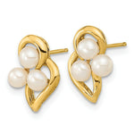 Load image into Gallery viewer, 14k Yellow Gold 3-4mm White Button Freshwater Cultured Pearl Post Earrings
