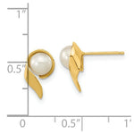 Load image into Gallery viewer, 14K Yellow Gold 5-6mm White Button Freshwater Cultured Pearl Post Earrings
