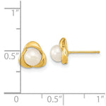 Load image into Gallery viewer, 14K Yellow Gold 5-6mm White Near Round Freshwater Cultured Pearl Post Earrings

