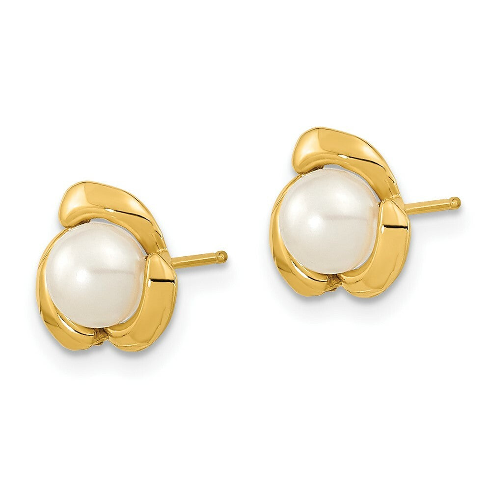 14K Yellow Gold 5-6mm White Button Freshwater Cultured Pearl Post Earrings
