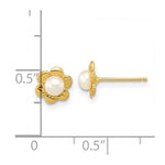 Load image into Gallery viewer, 14K Yellow Gold 3-4mm White Button Freshwater Cultured Pearl Post Earrings
