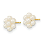 Load image into Gallery viewer, 14K Yellow Gold Children's White 2-3mm Freshwater Cultured Pearl Flower Earrings
