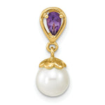 Load image into Gallery viewer, 14k Yellow Gold Amethyst &amp; Freshwater Cultured Pearl Polished Pendant
