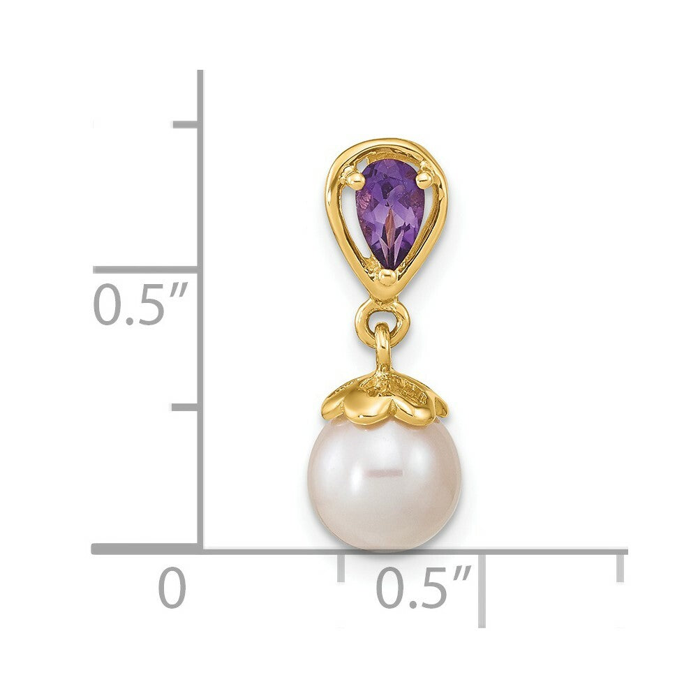 14k Yellow Gold Amethyst & Freshwater Cultured Pearl Polished Pendant