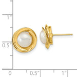 Load image into Gallery viewer, 14K Yellow Gold 6-7mm White Button Freshwater Cultured Pearl Post Earrings

