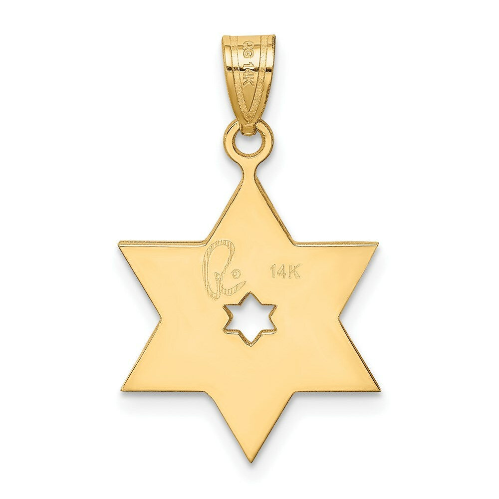 14K Two-tone Gold Star of David 25mm length