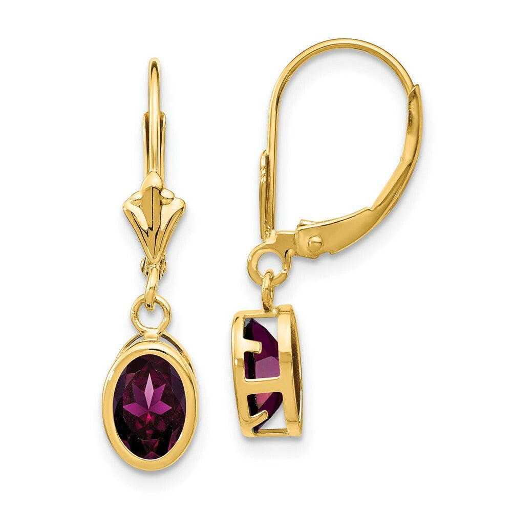 14K Yellow Gold 7x5mm Oval Rhodolite Garnet Leverback Earrings