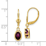 Load image into Gallery viewer, 14K Yellow Gold 7x5mm Oval Rhodolite Garnet Leverback Earrings
