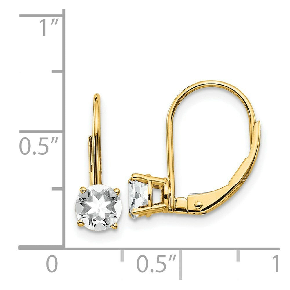 14K Yellow Gold 5mm Cubic Zirconia Leverback Earrings
