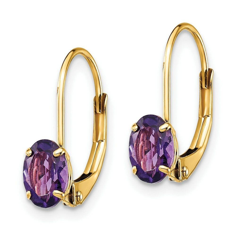 14K Yellow Gold 6x4mm Oval Amethyst Leverback Earrings