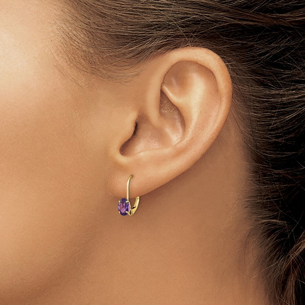 14K Yellow Gold 6x4mm Oval Amethyst Leverback Earrings