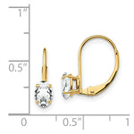 Load image into Gallery viewer, 14K Yellow Gold 6x4mm Oval Cubic Zirconia Leverback Earrings
