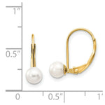 Load image into Gallery viewer, 14K 5mm Freshwater Cultured Pearl Leverback Earrings

