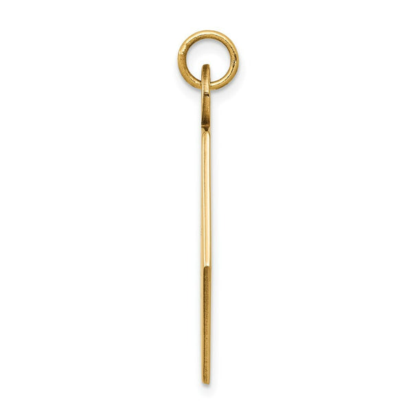 14K Yellow Gold Medical Jewelry Pendant