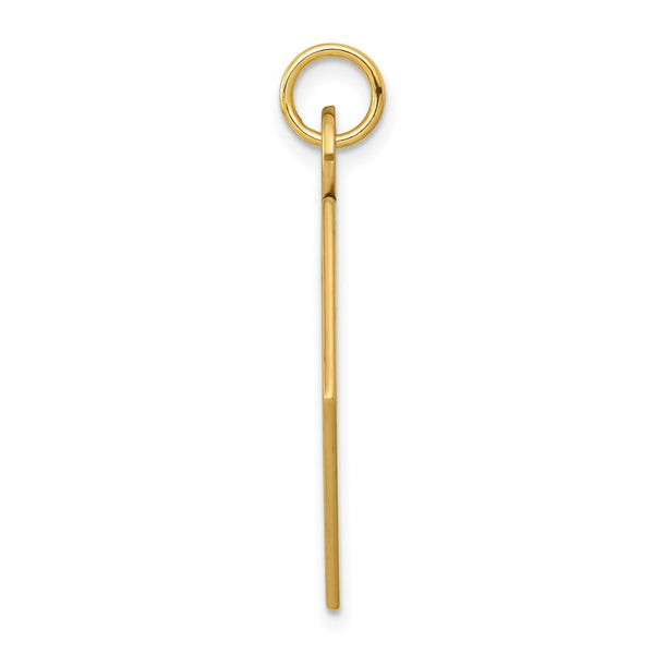 14K Yellow Gold Medical Jewelry Pendant