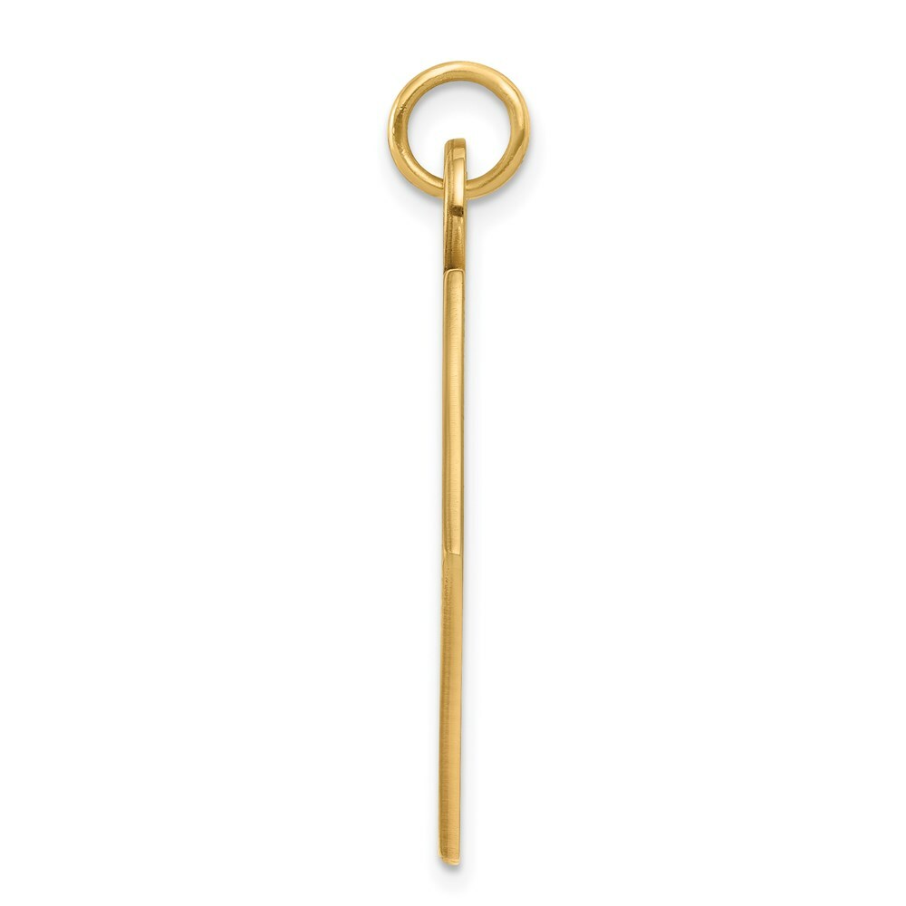 14K Yellow Gold Medical Jewelry Unenameled Pendant