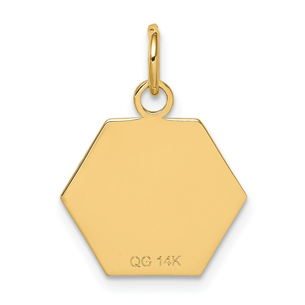 14K Yellow Gold Medical Jewelry Pendant
