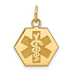 Load image into Gallery viewer, 14K Yellow Gold Non-enameled Medical Jewelry Pendant
