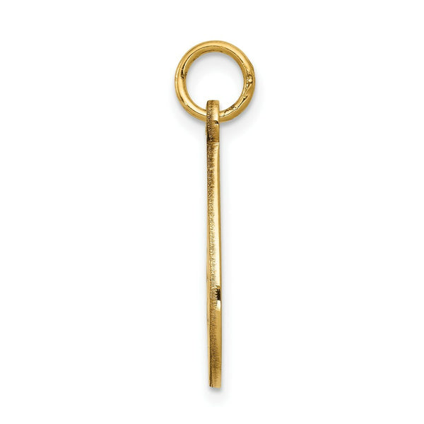 14K Yellow Gold Medical Jewelry Unenameled Pendant