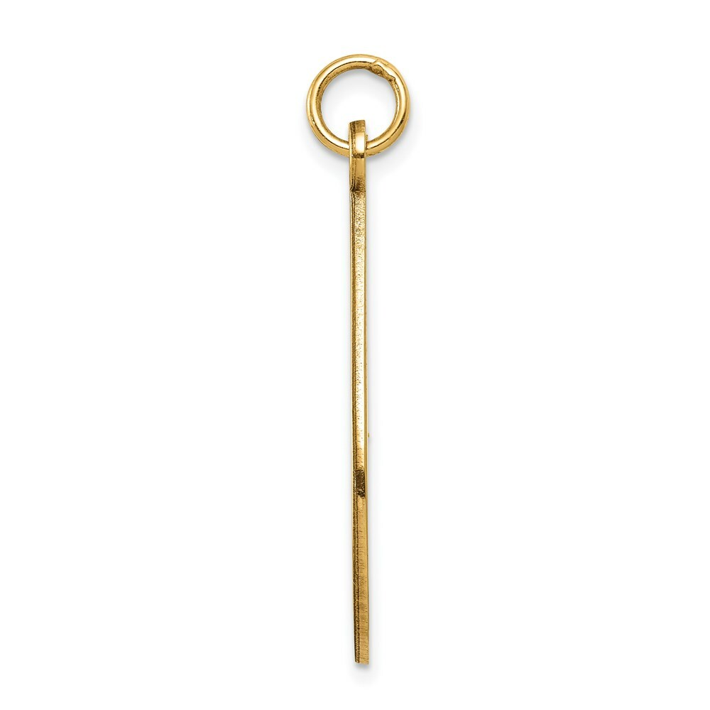 14K Yellow Gold Medical Jewelry Unenameled Pendant
