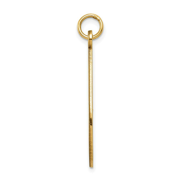 14K Yellow Gold Medical Jewelry Unenameled Pendant