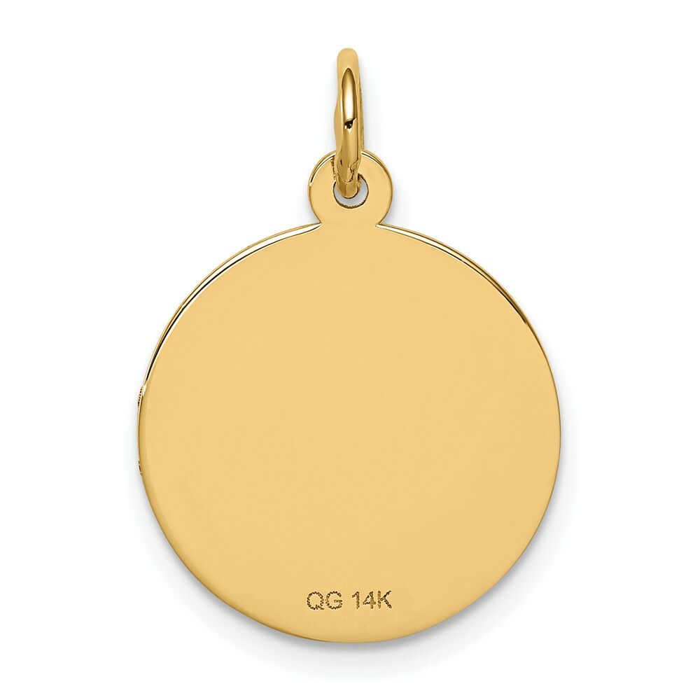 14K Yellow Gold Medical Jewelry Unenameled Pendant