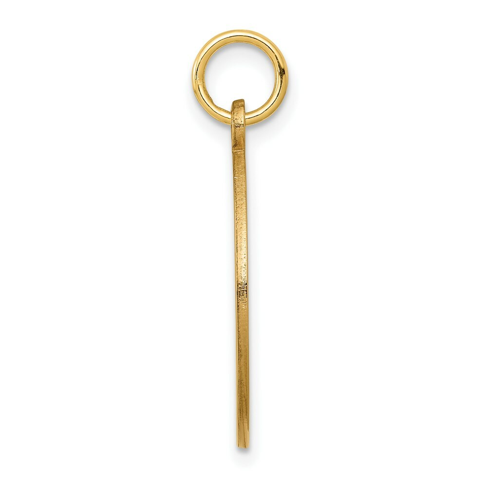 14K Yellow Gold Medical Jewelry Pendant
