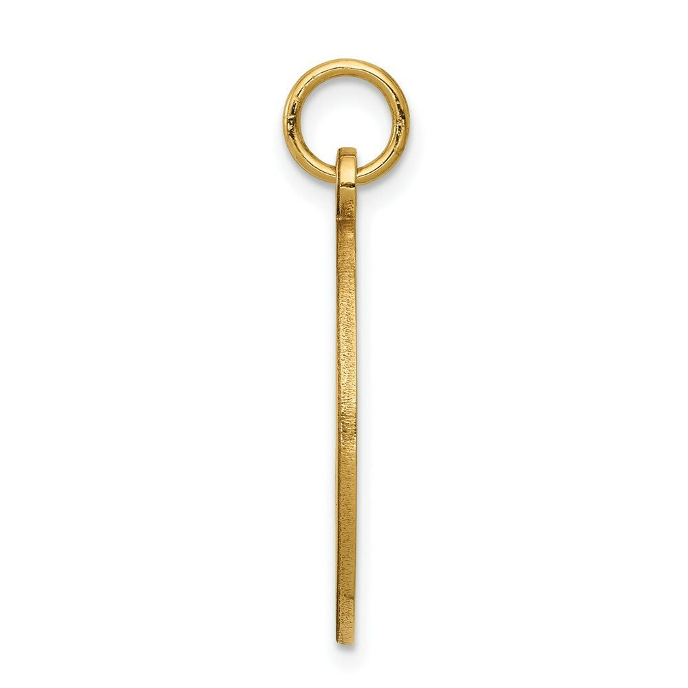 14K Yellow Gold Non-enameled Medical Jewelry Pendant