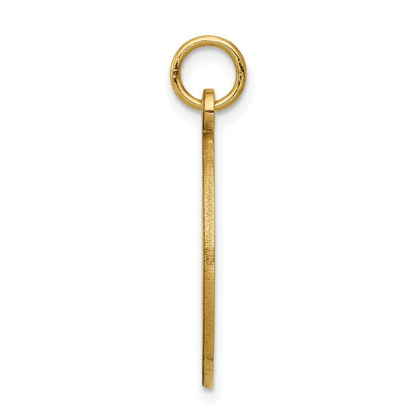 14K Yellow Gold Non-enameled Medical Jewelry Pendant