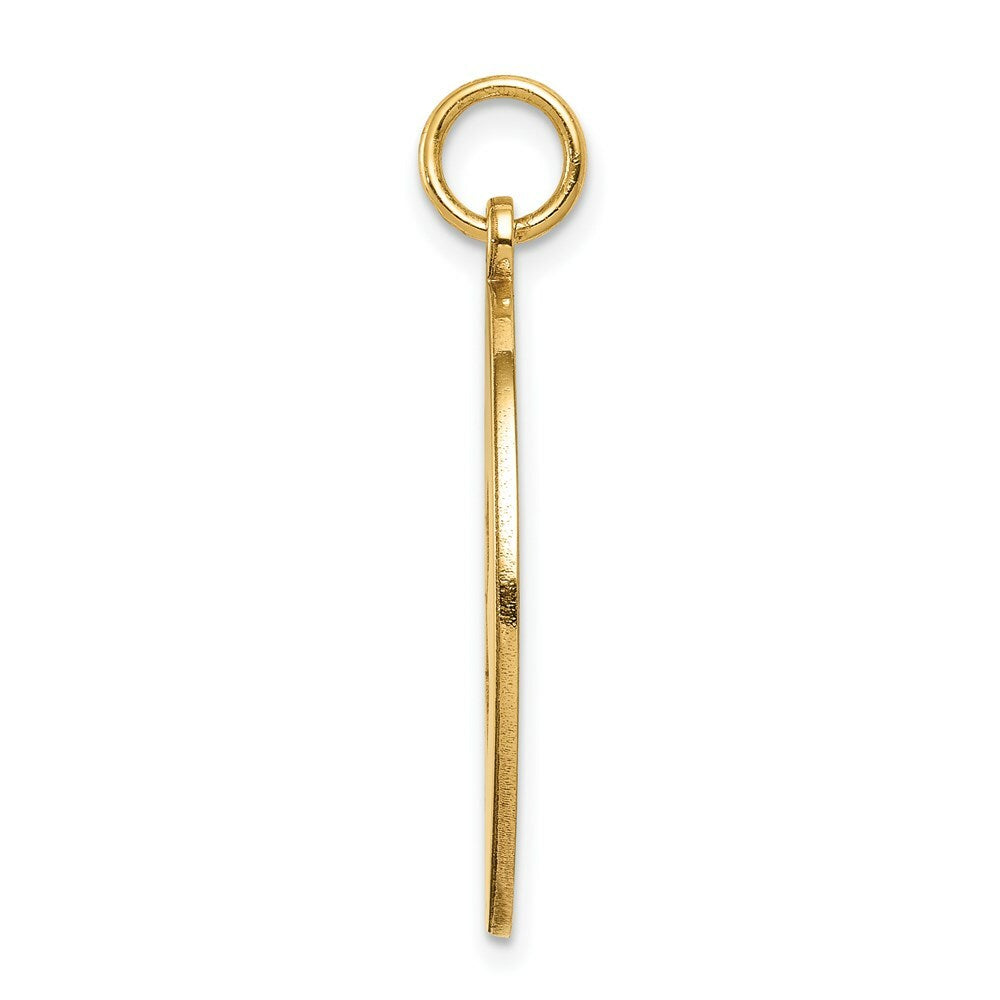 14K Yellow Gold Non-enameled Medical Jewelry Pendant